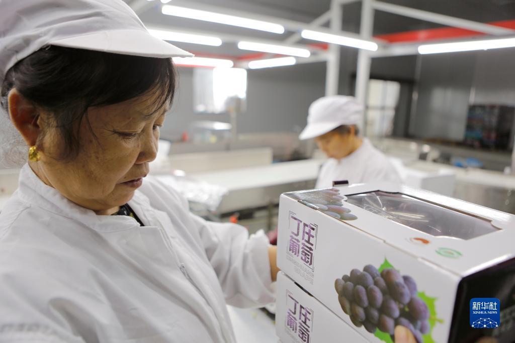 太阳集团娱乐所有网站